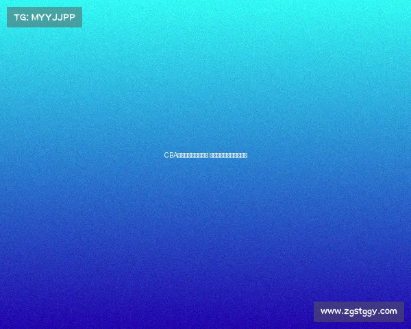 CBA篮板王助力球队制胜 揭秘其背后的努力与成就